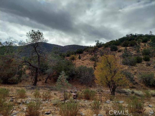 0 Calient Creek, Outside Area (inside Ca), CA 93518