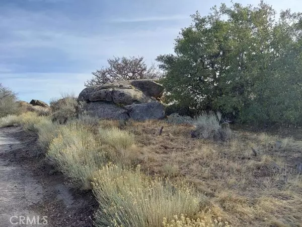 Tehachapi, CA 93561,0 Amberwood