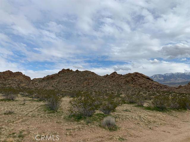 0 Rabbit Springs, Lucerne Valley, CA 92356