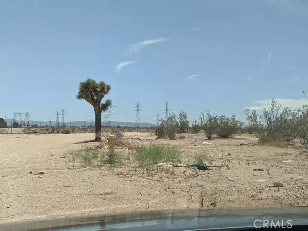 Victorville, CA 92392,0 Jade