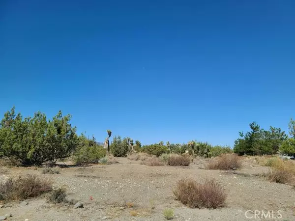 Pinon Hills, CA 92372,9560 Burbank