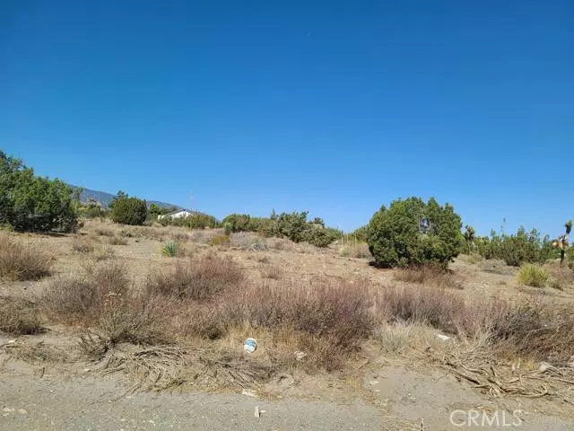 Pinon Hills, CA 92372,9560 Burbank