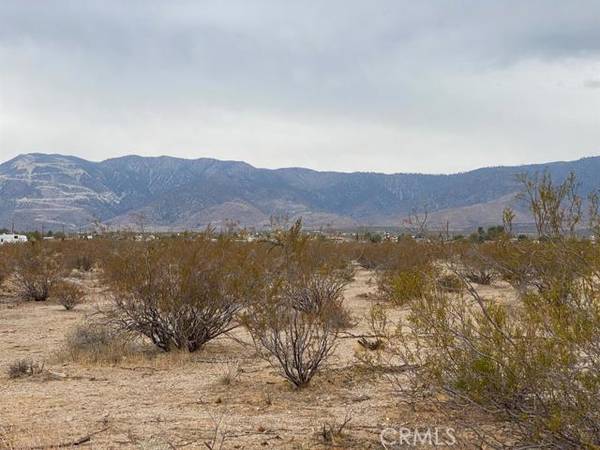 Lucerne Valley, CA 92356,0 Amber