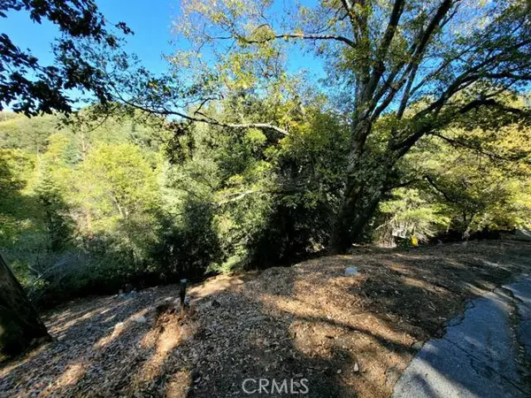 Crestline, CA 92352,0 Edelweiss