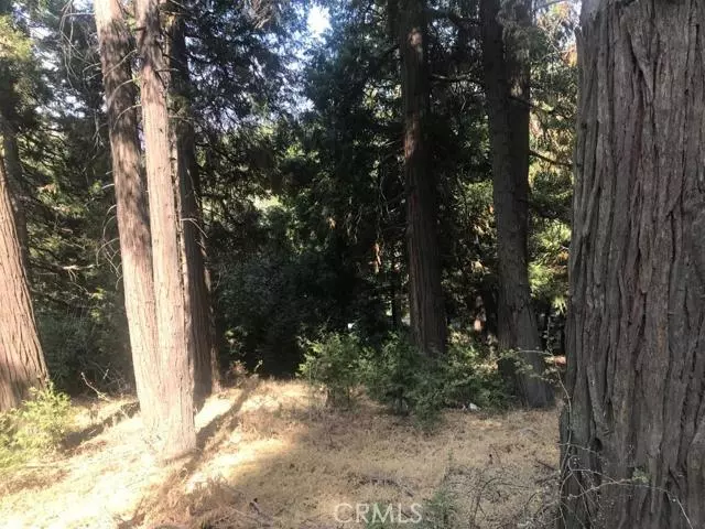 Cedarpines Park, CA 92322,0 Mozundar