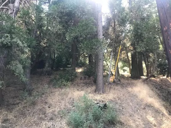 Cedarpines Park, CA 92322,0 Mozundar