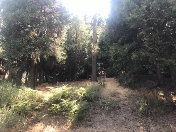 Cedarpines Park, CA 92322,0 Mozundar