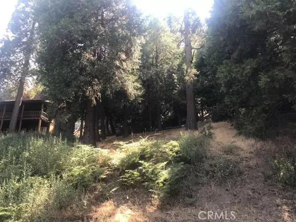 Cedarpines Park, CA 92322,0 Mozundar