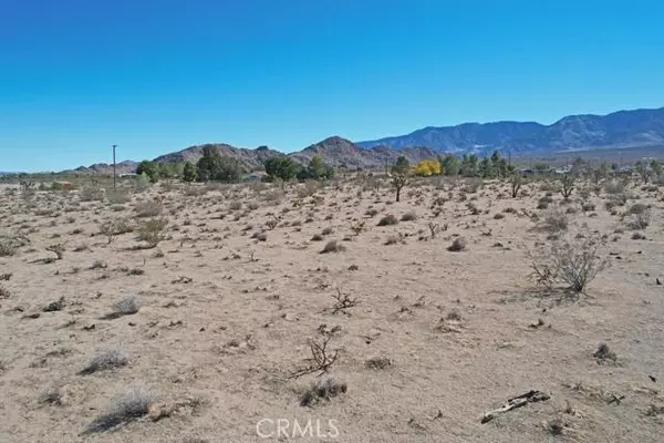 Lucerne Valley, CA 92356,0 Cody