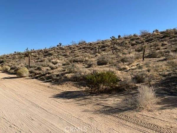 Apple Valley, CA 92308,0 Roundup