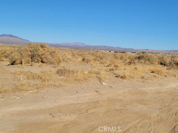 0 Wren, Lucerne Valley, CA 92356