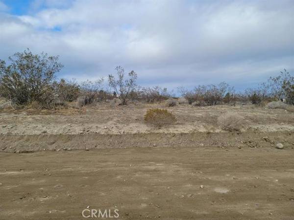 Lucerne Valley, CA 92356,0 Buena Vista