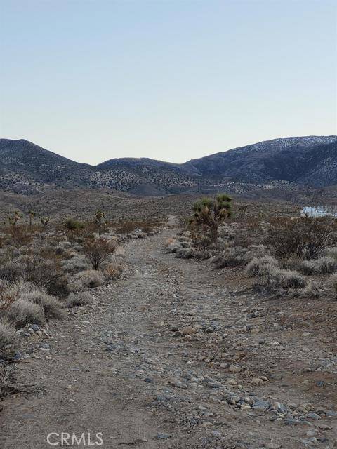 Lucerne Valley, CA 92356,0 Beech