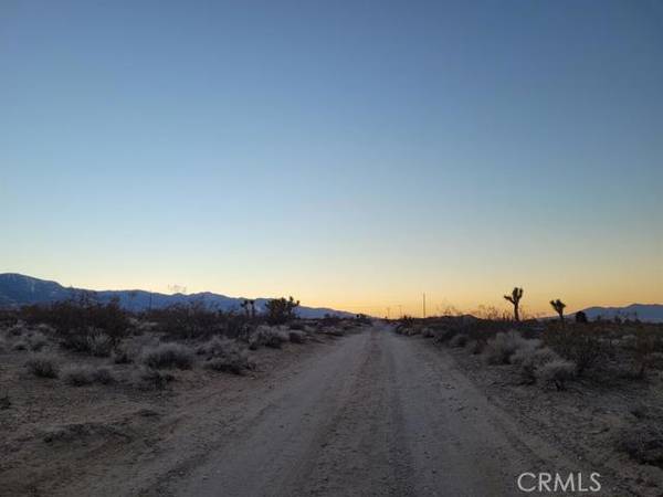 Lucerne Valley, CA 92356,0 Beech