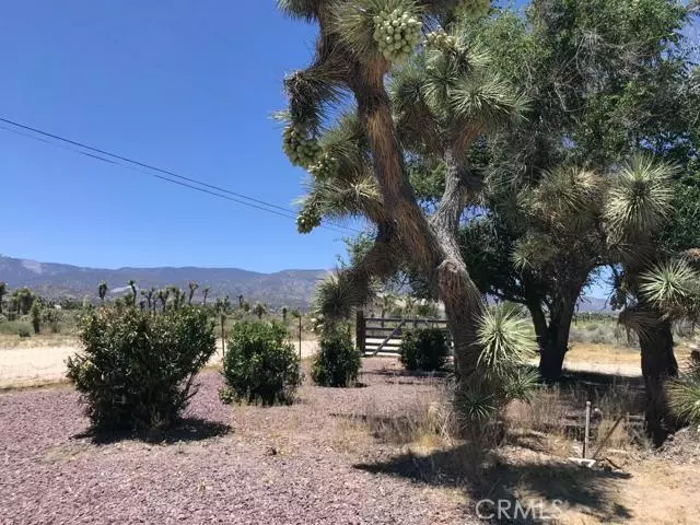 4000 Yucca Terrace Drive, Phelan, CA 92371