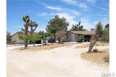 0 Dos Palmas Rd, Phelan, CA 92395