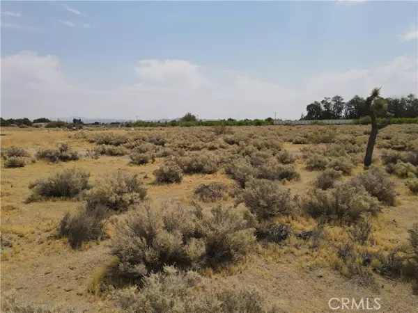 Lucerne Valley, CA 92356,0 Red Butte Rd.