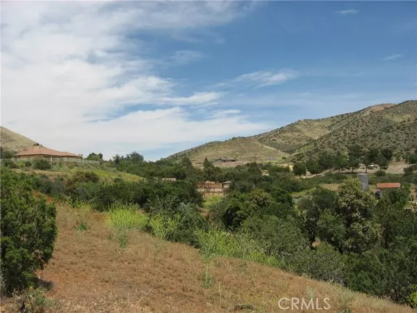 Agua Dulce, CA 91350,0 Vac/Johnnie Dr/Vic Maoler