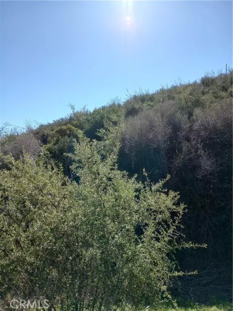 Malibu, CA 90265,0 Old Chimney