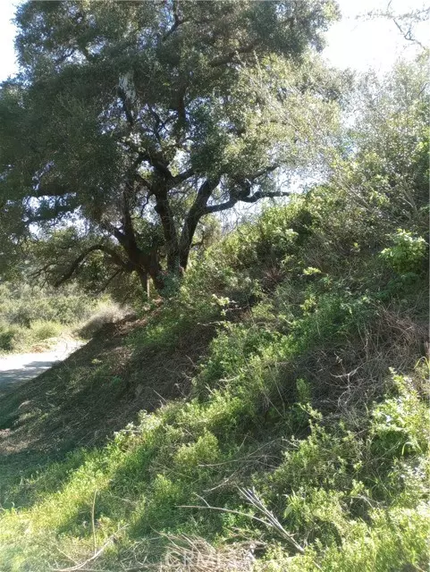 Malibu, CA 90265,0 Old Chimney