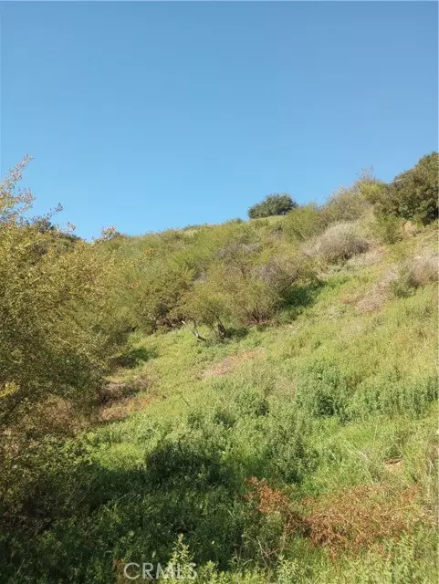 Malibu, CA 90265,0 Old Chimney