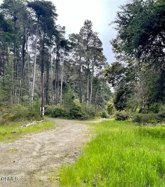 Fort Bragg, CA 95437,32300 N Mitchell Creek