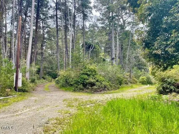 Fort Bragg, CA 95437,32300 N Mitchell Creek