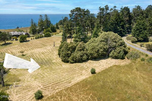 45301 Drifters Reef, Mendocino, CA 95460