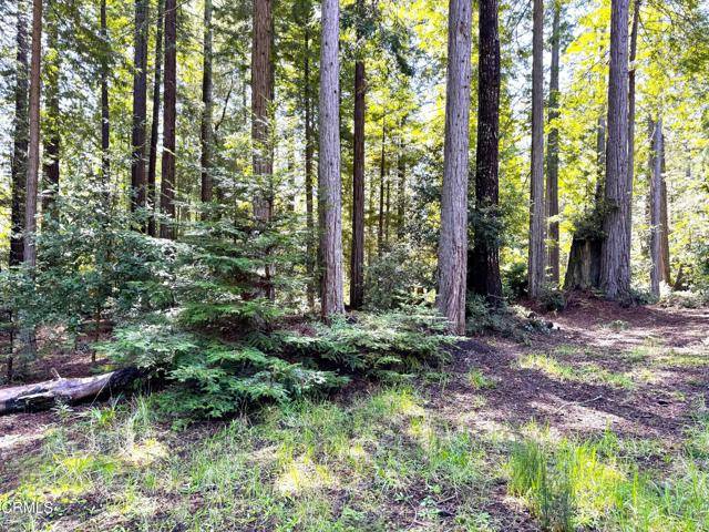 Mendocino, CA 95460,43700 Tibbens