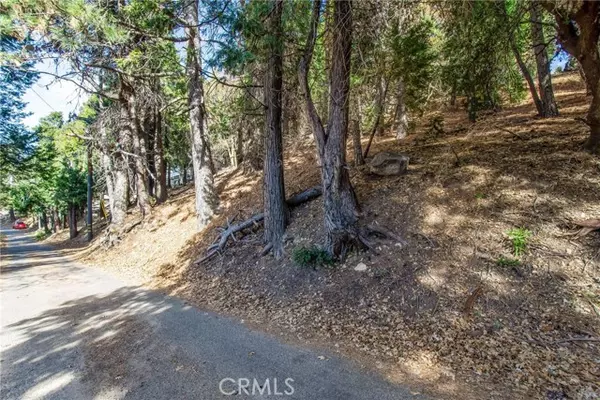 Cedarpines Park, CA 92322,0 Peak Circle