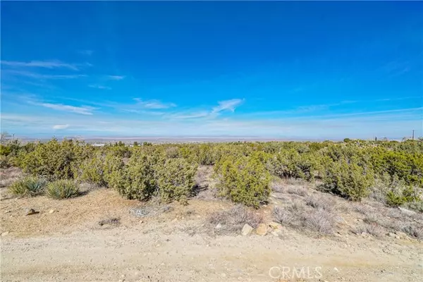 Pinon Hills, CA 92372,0 Lindero