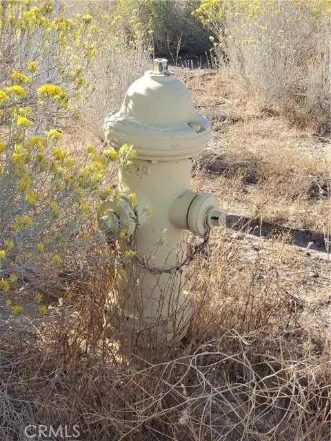 Phelan, CA 92371,0 Yucca Terrace and Acanthus