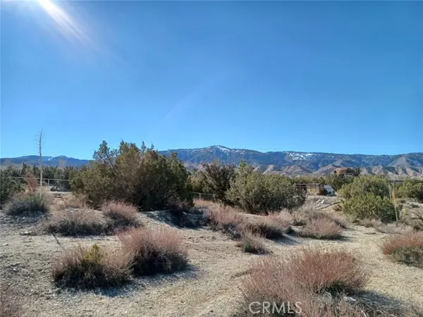 Pinon Hills, CA 92372,0 Tamarack