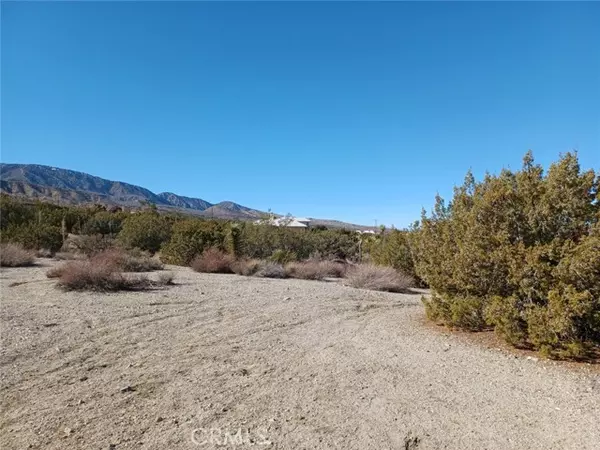 Pinon Hills, CA 92372,0 Tamarack