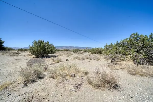 Pinon Hills, CA 92372,0 Coyote