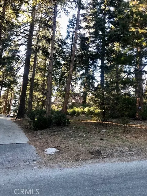 Lake Arrowhead, CA 92352,308 Pioneer