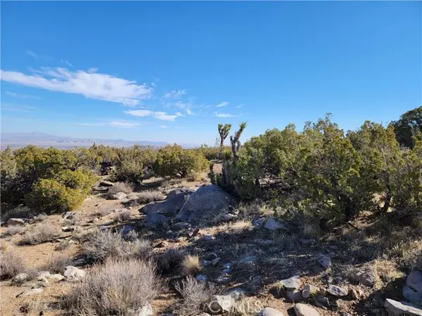 Lucerne Valley, CA 92356,0 Pitzer Buttes