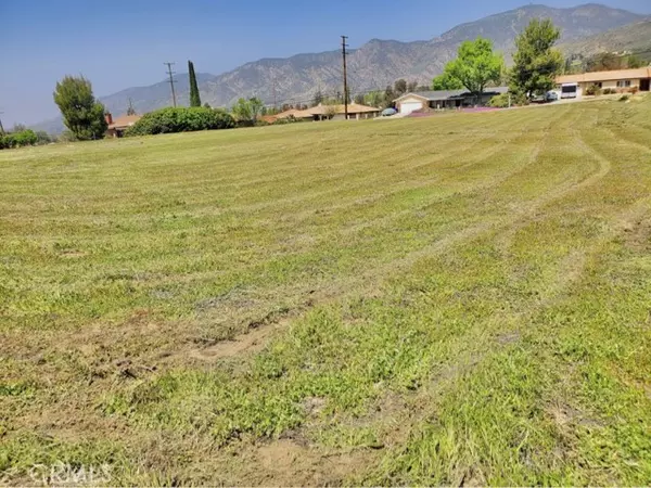 Yucaipa, CA 92399,0 Ivy