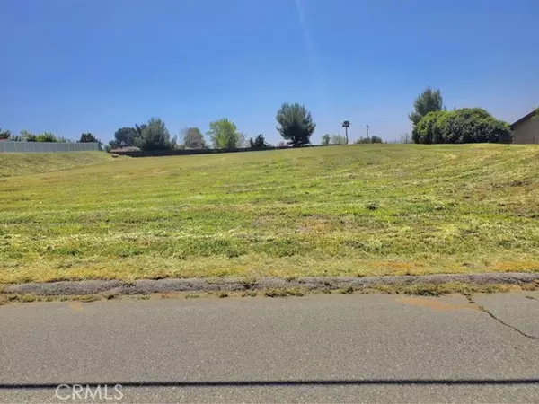 Yucaipa, CA 92399,0 Ivy