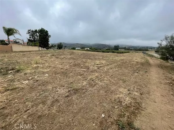 Alta Loma, CA 91737,0 Camellia