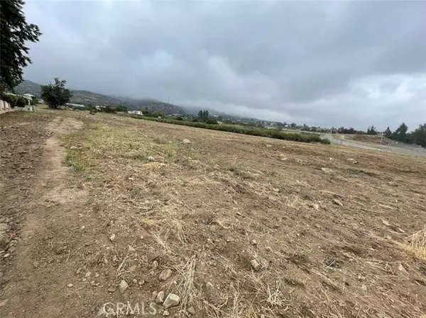 Alta Loma, CA 91737,0 Camellia