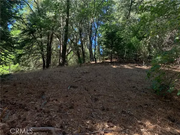 Crestline, CA 92325,0 Edelweiss