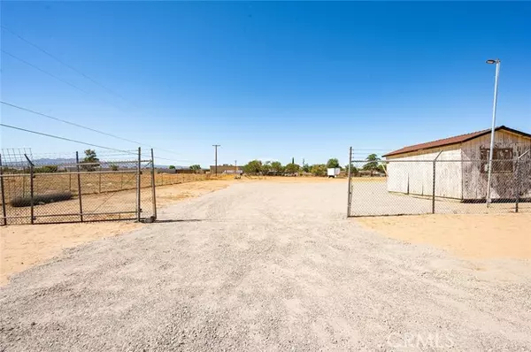 Hesperia, CA 92345,0 Smoke Tree