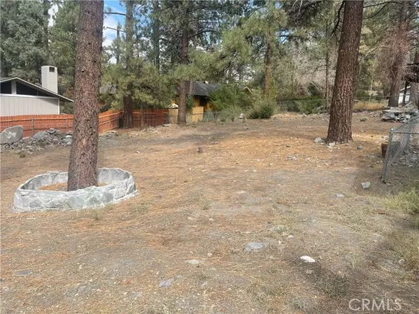 Wrightwood, CA 92397,5515 Dogwood