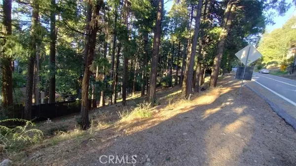 Crestline, CA 92325,0 Crest Forest