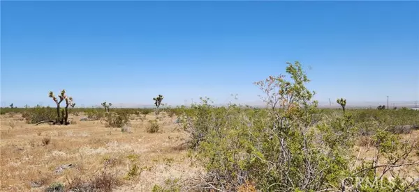 Llano, CA 93544,0 Vac/Pb Hwy/Vic 208th Ste