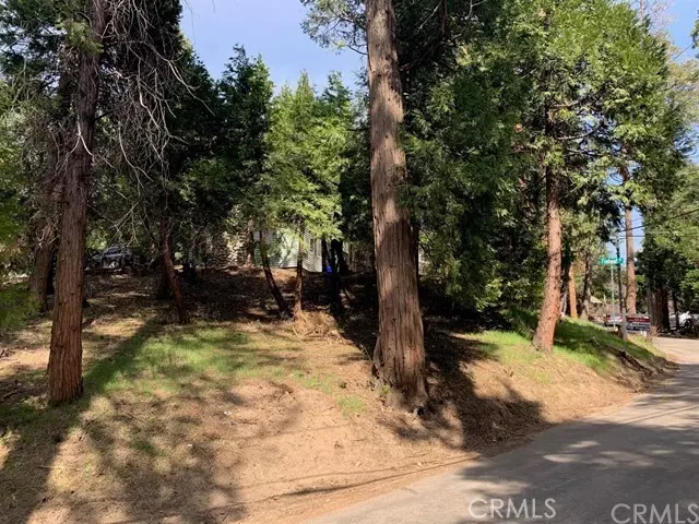 Crestline, CA 92325,24895 Felsen