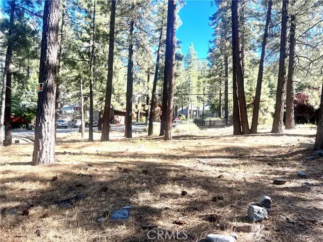 Wrightwood, CA 92397,0 Edna