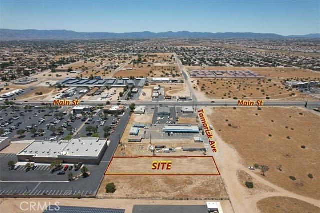 Hesperia, CA 92345,0 Tamarisk