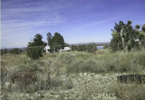 Pinon Hills, CA 92372,1568 Smoketree Road